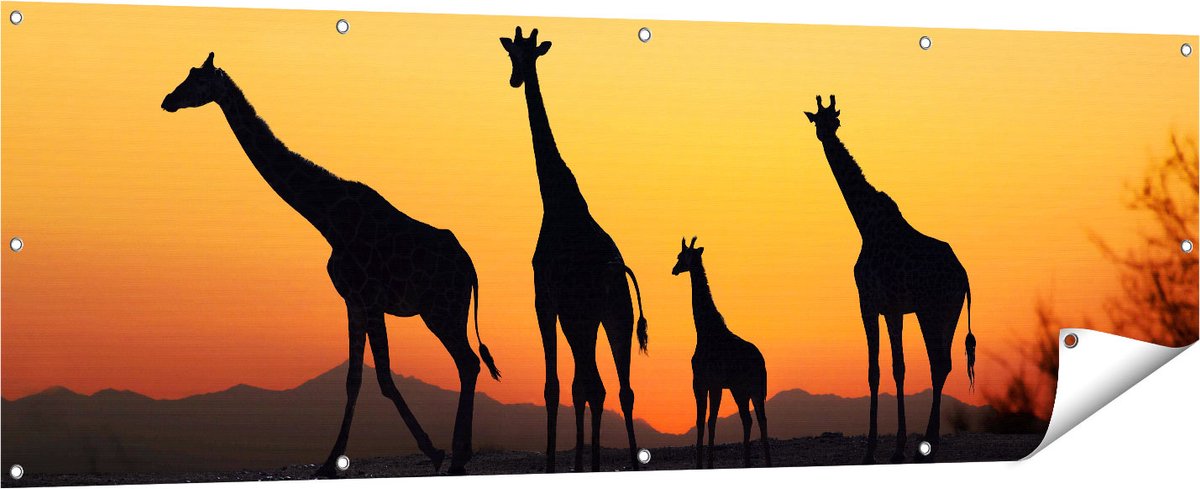 Gards Tuinposter Vier Giraffe Silhouetten bij Zonsondergang - 180x60 cm - Tuindoek - Tuindecoratie - Wanddecoratie buiten - Tuinschilderij Multikleur