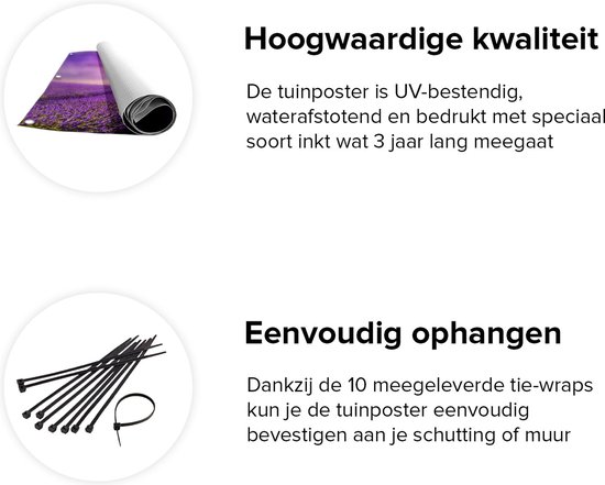 Gards Affiche de jardin Arbre Vert dans les Fleurs de Lavande - 100x150 cm - Toile jardin - Décoration de jardin - Décoration murale extérieur - Tableau jardin