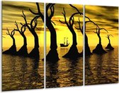 Glasschilderij Zonsondergang - Geel, Zwart, Bruin - 120x80cm 3Luik - Foto Op Glas - Geen Acrylglas Schilderij - GroepArt 6000+ Glas Art Collectie - Maatwerk Mogelijk