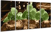 Peinture sur verre d'orchidée | Vert, marron | 160x80cm 4 Liège | Tirage photo sur verre |  F004502