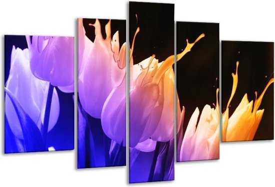 Glasschilderij Tulp - Oranje, Paars, Blauw - 170x100cm 5Luik - Foto Op Glas - Geen Acrylglas Schilderij - 6000+ Glasschilderijen Collectie - Wanddecoratie