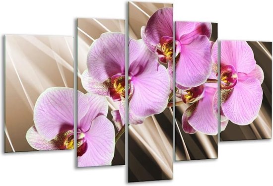 Glasschilderij Orchidee - Groen, Bruin, Roze - 170x100cm 5Luik - Foto Op Glas - Geen Acrylglas Schilderij - 6000+ Glasschilderijen Collectie - Wanddecoratie