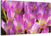 Peinture sur toile Fleur | Violet, blanc, jaune | 140x90cm 1 Liège