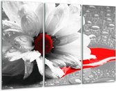 Peinture sur toile Fleur | Gris, blanc, rouge | 120x80cm 3 Liège