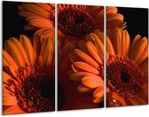 GroepArt - Schilderij -  Bloem - Oranje, Zwart, Rood - 120x80cm 3Luik - 6000+ Schilderijen 0p Canvas Art Collectie