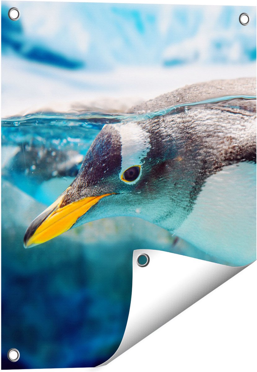 Gards Tuinposter Pingu�n Zwemt onder Water - 40x50 cm - Tuindoek - Tuindecoratie - Wanddecoratie buiten - Tuinschilderij Multikleur