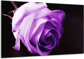 Peinture sur verre rose | Violet, blanc, noir | 120x70cm 1Hatch | Tirage photo sur verre |  F003875