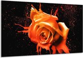 Glasschilderij Roos - Oranje, Zwart - 120x70cm 1Luik - Foto Op Glas - Geen Acrylglas Schilderij - GroepArt 6000+ Glasschilderijen Art Collectie - Wanddecoratie - Woonkamer - Slaapkamer