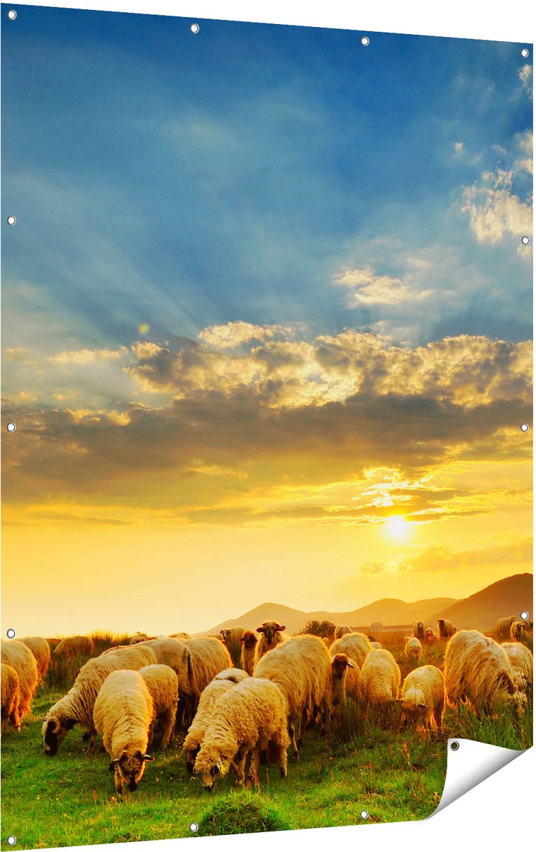 Gards Tuinposter Kudde Schapen op het Gras bij Zonsondergang - 120x160 cm - Tuindoek - Tuindecoratie - Wanddecoratie buiten - Tuinschilderij Multikleur