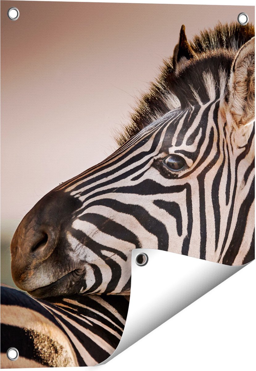 Gards Tuinposter Twee Knuffelende Zebra's - 40x50 cm - Tuindoek - Tuindecoratie - Wanddecoratie buiten - Tuinschilderij Multikleur