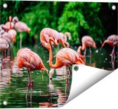 Gards Tuinposter Kudde Flamingo's in de Jungle in het Water - 50x40 cm - Tuindoek - Tuindecoratie - Wanddecoratie buiten - Tuinschilderij
