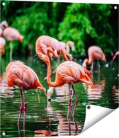 Gards Tuinposter Kudde Flamingo's in de Jungle in het Water - 70x70 cm - Tuindoek - Tuindecoratie - Wanddecoratie buiten - Tuinschilderij