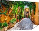 Gards Tuinposter Straatje in Rome met Groene Planten - 150x100 cm - Tuindoek - Tuindecoratie - Wanddecoratie buiten - Tuinschilderij
