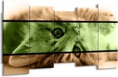 GroepArt - Canvas Schilderij - Kat - Groen, Bruin - 150x80cm 5Luik- Groot Collectie Schilderijen Op Canvas En Wanddecoraties
