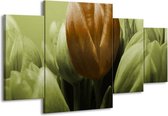 GroepArt - Schilderij -  Tulp - Bruin, Groen - 160x90cm 4Luik - Schilderij Op Canvas - Foto Op Canvas