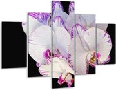 Glasschilderij -  Orchidee - Paars, Zwart, Wit - 100x70cm 5Luik - Geen Acrylglas Schilderij - GroepArt 6000+ Glasschilderijen Collectie - Wanddecoratie- Foto Op Glas