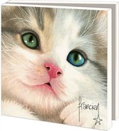 Kaartenmapje met env, vierkant: Close up Franciens katten, Francien van Westering