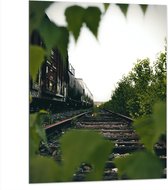 Dibond - Begroeiing over het Spoor - 75x100 cm Foto op Aluminium (Wanddecoratie van metaal)