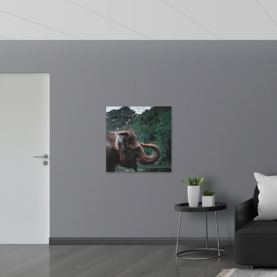 PVC Schuimplaat - Blije Olifant met Gekrulde Slurf in Bos - 80x80 cm Foto op PVC Schuimplaat (Met Ophangsysteem)