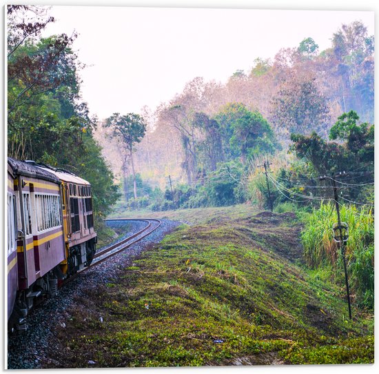 WallClassics - PVC Schuimplaat - Thaise Trein door Groen Natuurgebied in Thailand - 50x50 cm Foto op PVC Schuimplaat (Met Ophangsysteem)