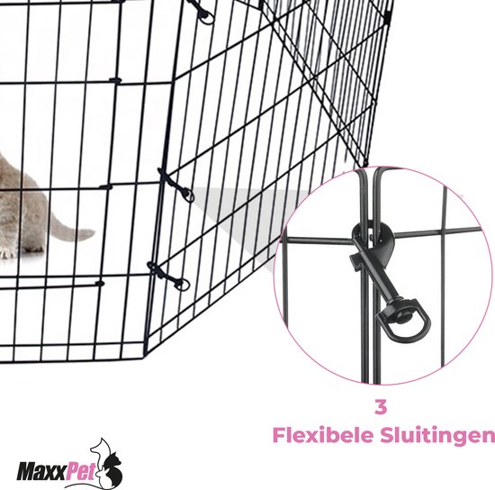 MaxxPet