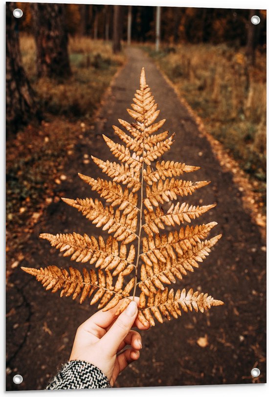 Foto: Tuinposter bruin herfstblad boven bospad 60x80 cm foto op tuinposter wanddecoratie voor buiten en binnen 