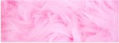 Poster Glanzend – Roze Veren - 90x30 cm Foto op Posterpapier met Glanzende Afwerking