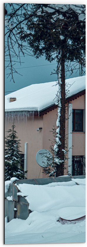 Dibond - Besneeuwd Huisje onder de Grijze Lucht - 30x90 cm Foto op Aluminium (Met Ophangsysteem)