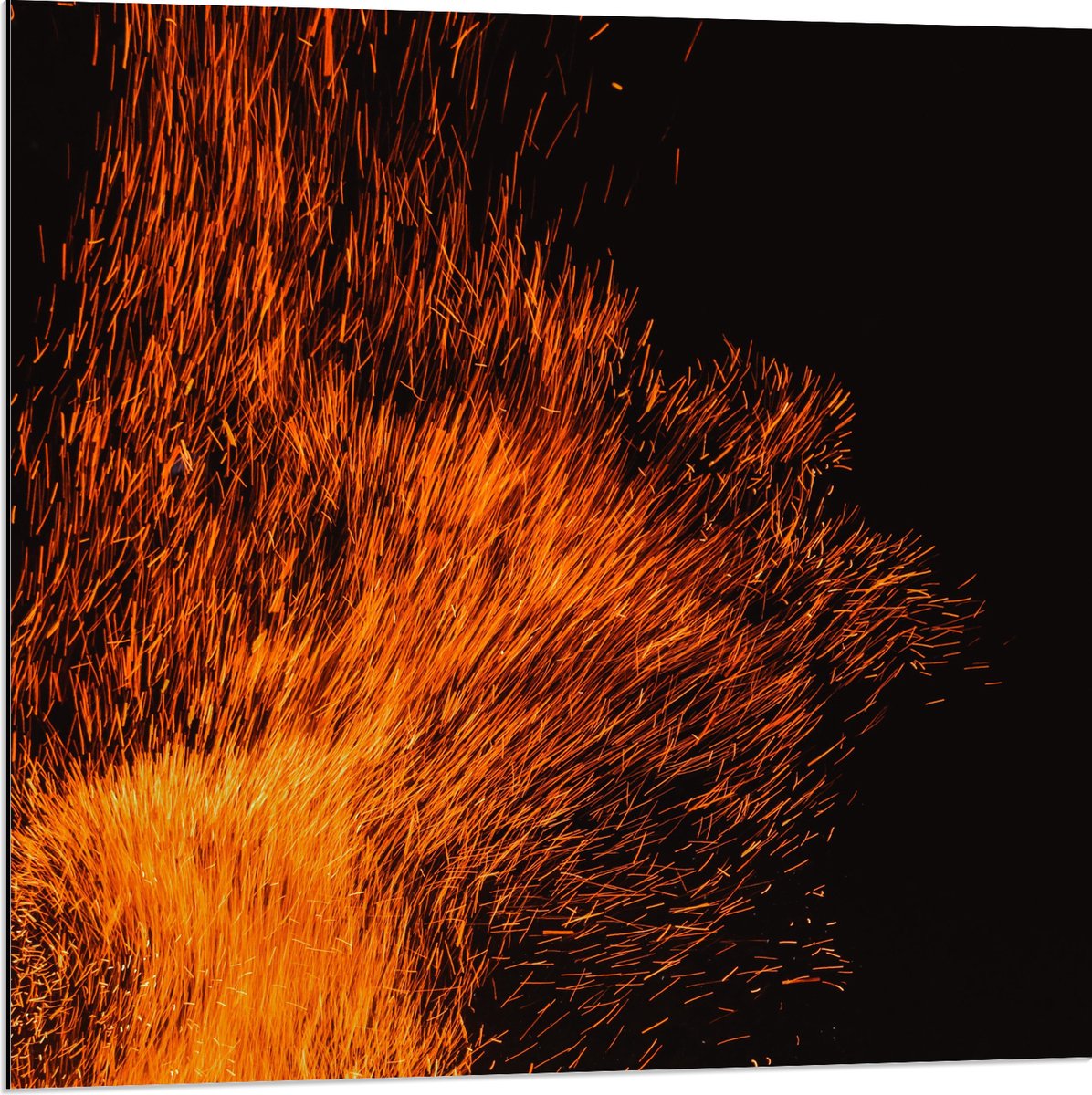 Dibond - Oranje Spetters van Vuurkorf - 80x80 cm Foto op Aluminium (Met Ophangsysteem)