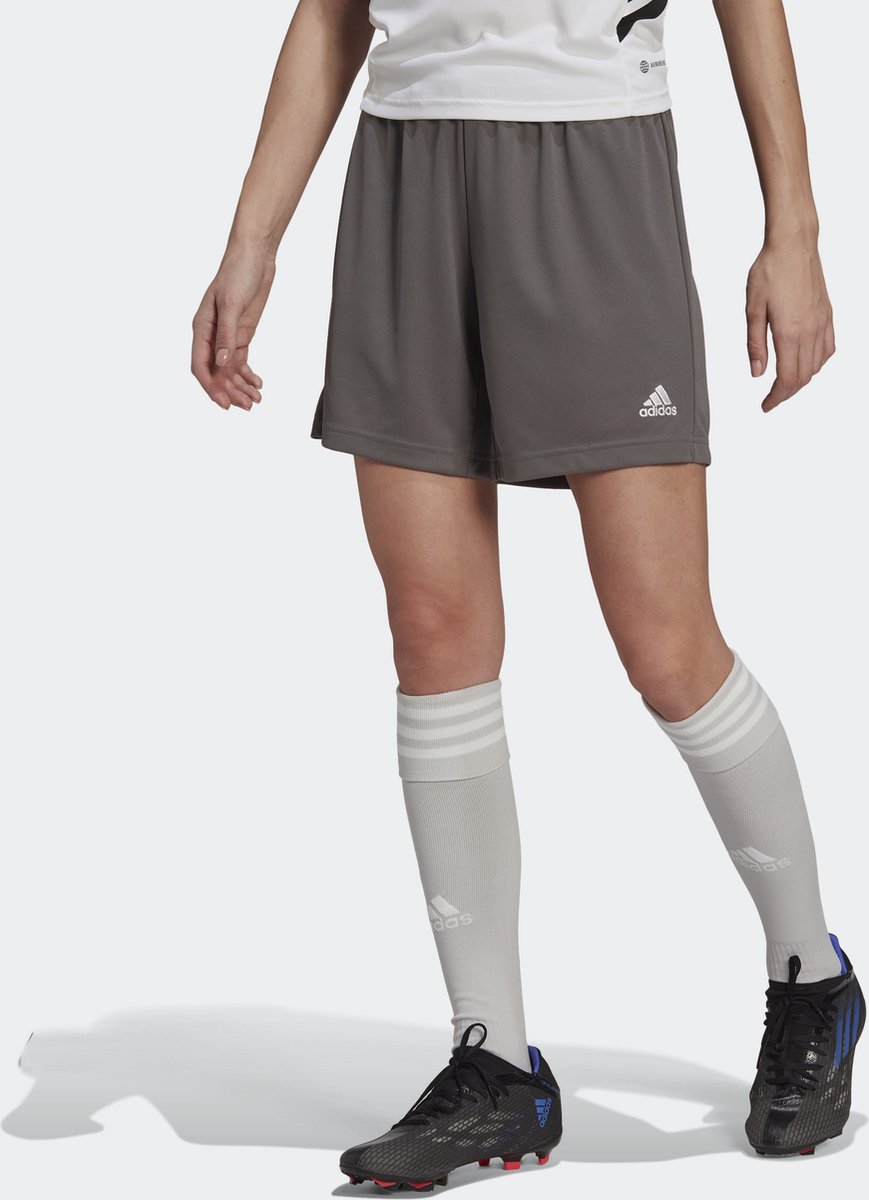 adidas Performance Entrada 22 Short Dames Grijs