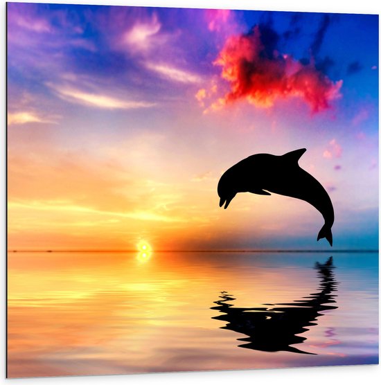 WallClassics - Dibond - Zonsondergang bij Silhouet van Dolfijn boven Water in Kleurrijke Omgeving - 100x100 cm Foto op Aluminium (Met Ophangsysteem)