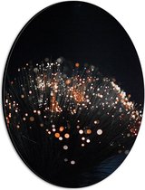 Dibond Ovaal - Takken met Oranje Lichtjes aan de Bovenkant - 21x28 cm Foto op Ovaal (Met Ophangsysteem)