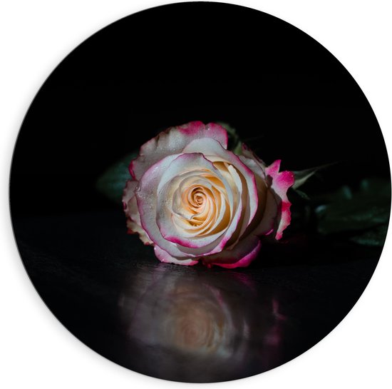 WallClassics - Dibond Muurcirkel - Liggend Wit met Roze Roos in Donkere Omgeving - 90x90 cm Foto op Aluminium Muurcirkel (met ophangsysteem)