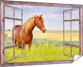 Gards Tuinposter Doorkijk Bruin Paard in de Wei - 180x120 cm - Tuindoek - Tuindecoratie - Wanddecoratie buiten - Tuinschilderij