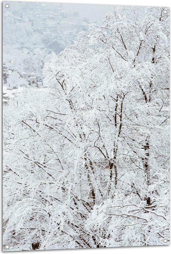 Tuinposter – Wit Besneeuwde Bomen in het Bos - 80x120 cm Foto op Tuinposter (wanddecoratie voor buiten en binnen)