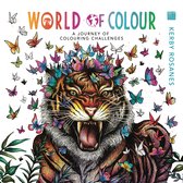World of Colour- World of Colour