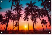 Tuinposter palmbomen - Zonsondergang - Tropisch - Nacht - Natuur - Strand - Tuindoek - Tuinschilderij voor buiten - Schutting decoratie - 60x40 cm - Tuindecoratie - Tuin - Schuttingdoek