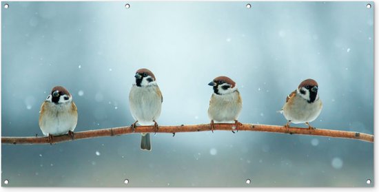 Tuinposter vogels - Mus - Dieren - Sneeuw - Natuur - Winter - Schutting decoratie - Tuin - Schuttingdoek - 160x80 cm - Tuindoek - Tuindecoratie - Tuinschilderij voor buiten - Buitenposter