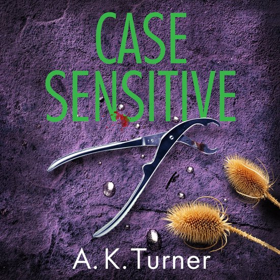 Case Sensitive, A. K. Turner 9781804182062 Boeken