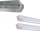 Dubbele waterdichte LED Batten Kit voor T8 150cm IP65 buizen (2150cm T8 50W LED neonbuizen inbegrepen) - Koel wit licht