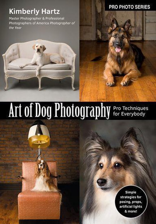 Foto: Pro photo series art of dog photography