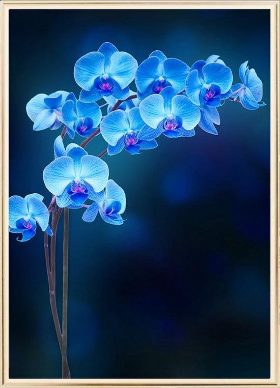 Poster Met Metaal Gouden Lijst - Blauwe Orchidee Poster