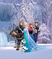 Disney fotobehang Frozen paars en blauw - 600620 - 180 x 202 cm