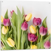 Tuinposter – Bos Tulpen - 100x100cm Foto op Tuinposter  (wanddecoratie voor buiten en binnen)