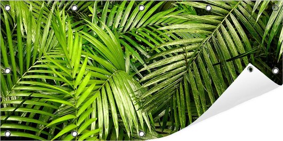 Tuinposter Jungle 100 x 50 cm incl. Metalen ringen - (Buitenposter - Tuindoek - Buitencanvas - Schilderijen voor buiten - tuin decoratie)