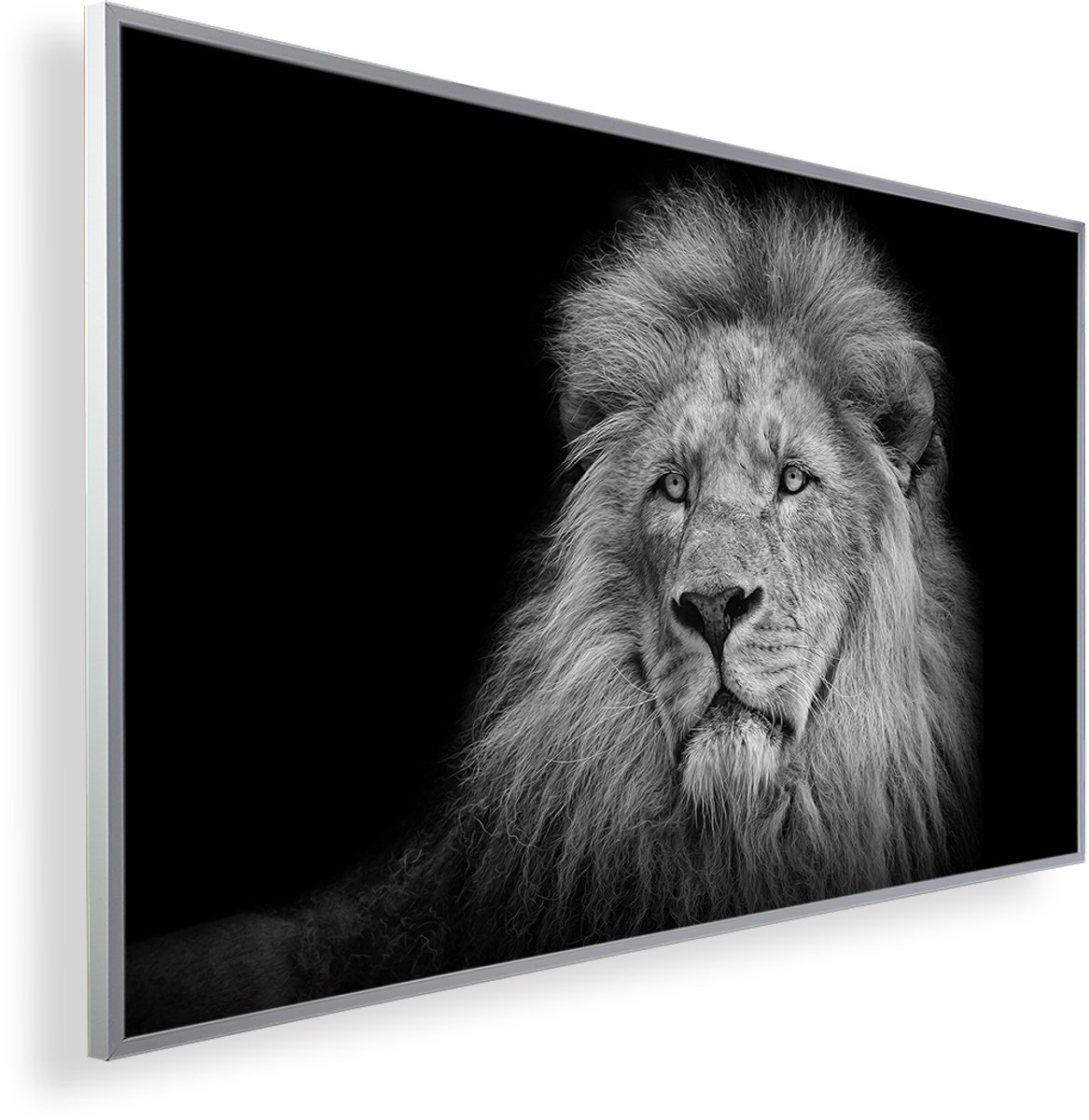 Infrarood Verwarmingspaneel 600W met fotomotief en Smart Thermostaat (5 jaar Garantie) - Lion 69