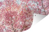 Tuinposter - Tuindoek - Tuinposters buiten - Kersenbloesem in Japan - 120x80 cm - Tuin