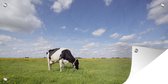 Tuinposter Grazende koeien in een weiland - 80x40 cm - Wanddecoratie Buiten - Tuinposter - Tuindoek - Schuttingposter - Tuinschilderij