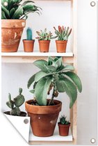 Affiche de jardin cactus sur étagère en vrac