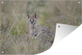 Muurdecoratie Verstopte serval in hoog gras - 180x120 cm - Tuinposter - Tuindoek - Buitenposter